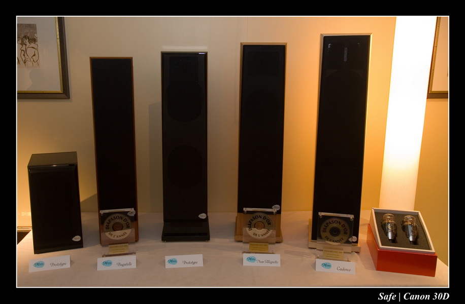 2006 - 10 - Salon hifi sofitel -  080